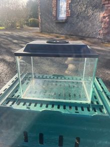 fish tank