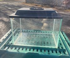 fish tank