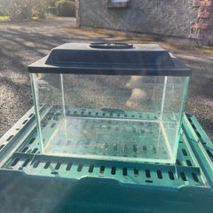 fish tank