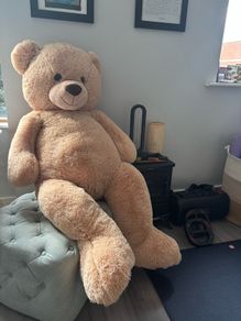 giant teddy