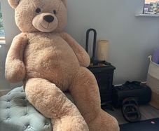 giant teddy