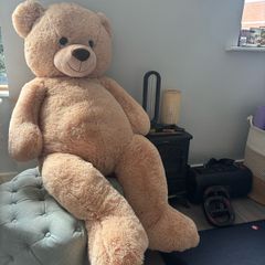 giant teddy
