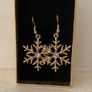 Earrings Image 2