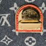 Louis Vuitton Image 6