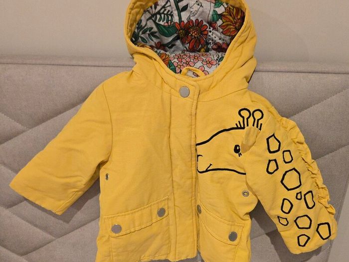 Baby girls clothes 9-12 months