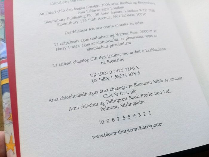 Rare Harry Potter and the Philosopher's Stone Irish 1st Edition