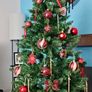 Christmas Tree Image 2