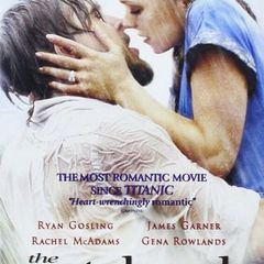 The Notebook (DVD)