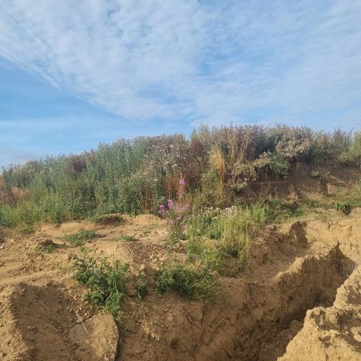 Top Soil for sale