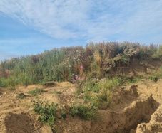 Top Soil for sale