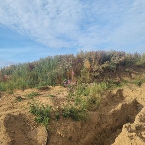 Top Soil for sale