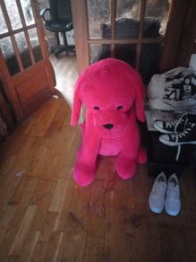 big red teddy dog