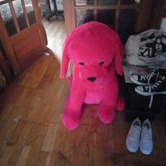 big red teddy dog