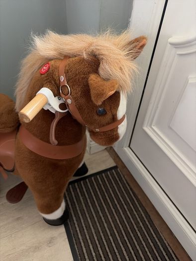Small pony cycle