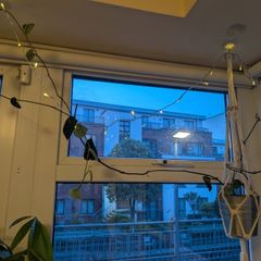 Satin Pothon incl. Hanging Basket and Pot