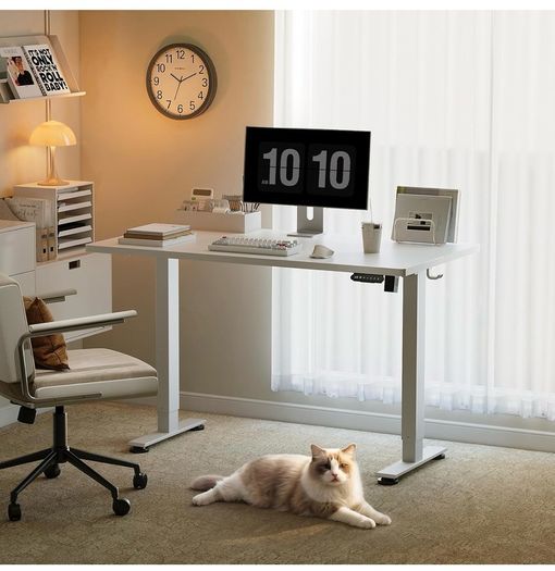 Electric Standing Desk, 120x60cm Height Adjustable Desk with 2 Memory Presets, Quiet Sit Stand Desk for Home Office Bedroom Living Room, Ergonomic Computer Desk with Hooks & Cable Holes, White