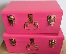 Storage Trunks