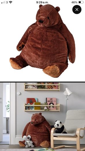 Bear