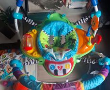 Baby Einstein Jumperoo Bouncer