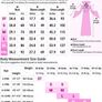 Royal Vampire Costume for Girls Deluxe Set Halloween Gothic Victorian Vampiress Queen Dress Up Party Image 2