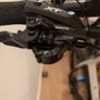 Focus Raven Image 8
