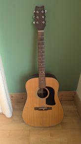 Washburn D-12N Acoustic guitar