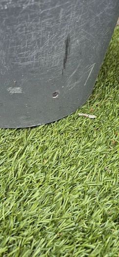 large flower pot