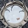 Antler Wall  Mirror Image 3