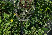 Wilson Tennis Racket kids