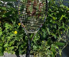 Wilson Tennis Racket kids