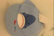 Boys BNWT cap 6/12 mths