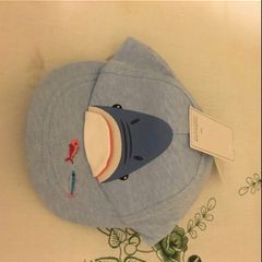 Boys BNWT cap 6/12 mths