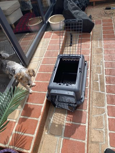 Pet Carrier Small AniOne