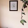 Large photo frames Image 2