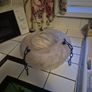 Rare open base Original Art Deco light pink hue 1930s glass ceiling shade Image 7