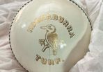 Kookaburra Turf White Official ODI and T20 Cricket Ball 142g