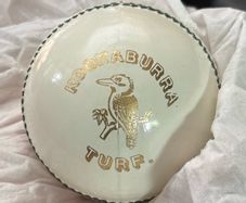 Kookaburra Turf White Official ODI and T20 Cricket Ball 142g