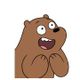 BearNecessities