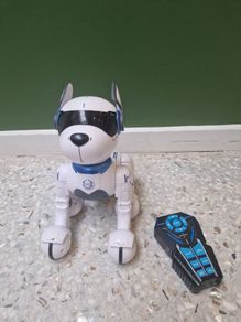 Ziggy, the robo dog toy