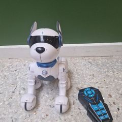 Ziggy, the robo dog toy