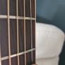 takamine EF508C VN Image 5