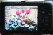 Canon PowerShot SD780 IS Digital Elph with charger