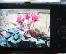 Canon PowerShot SD780 IS Digital Elph with charger