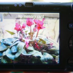 Canon PowerShot SD780 IS Digital Elph with charger