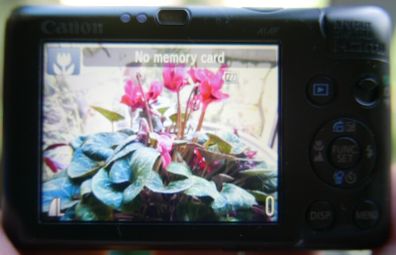 Canon PowerShot SD780 IS Digital Elph with charger