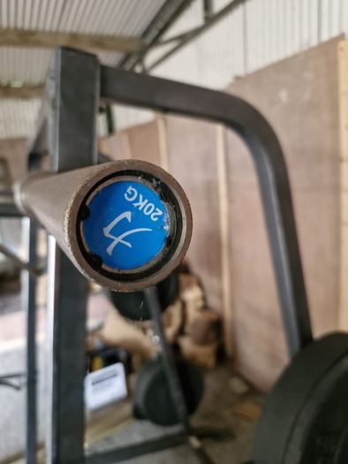 weights bench