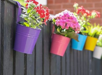 Hanging pots