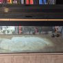 4ft Reptile tank Image 2