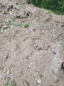 topsoil