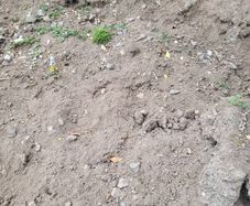 topsoil